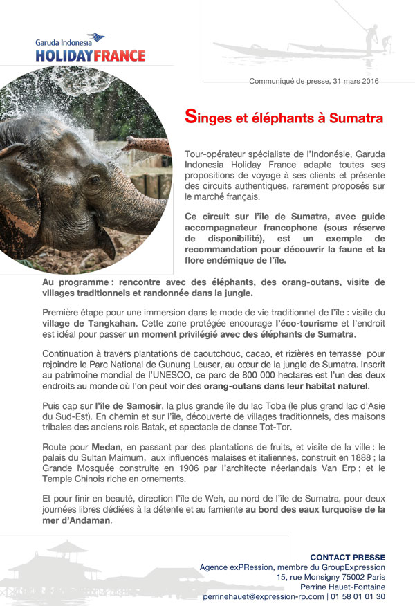 Singes et éléphants à Sumatra